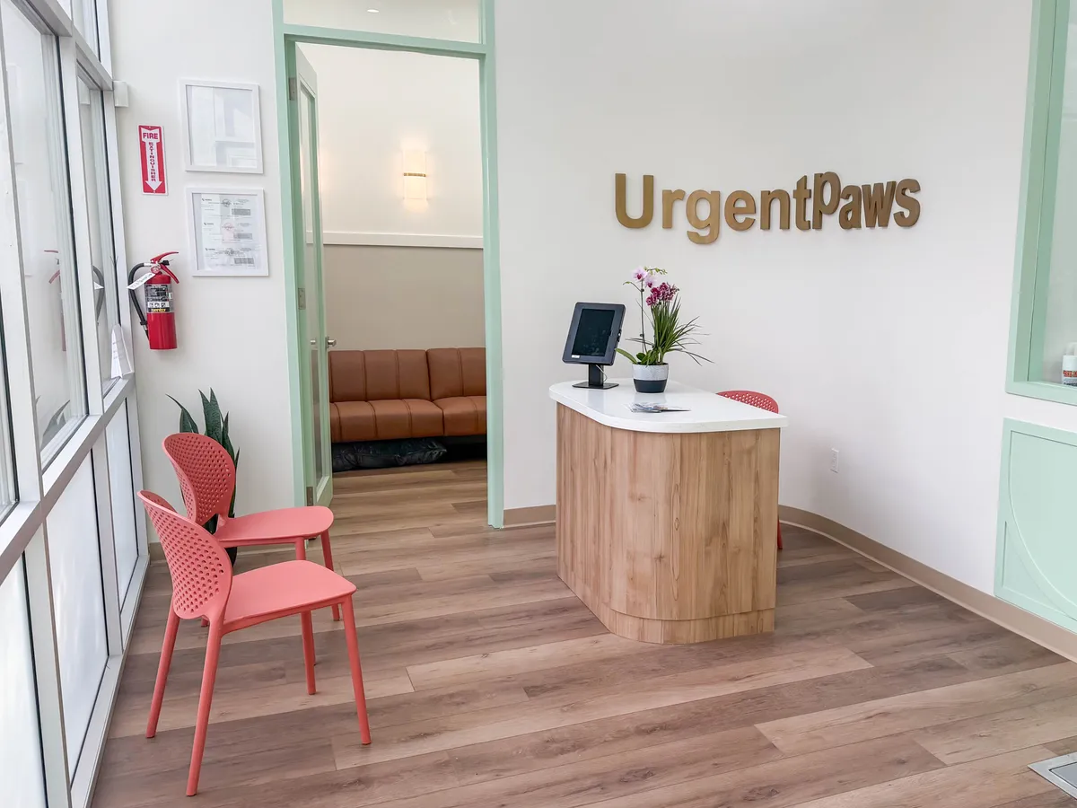 The UrgentPaws Cerritos entrance and front desk