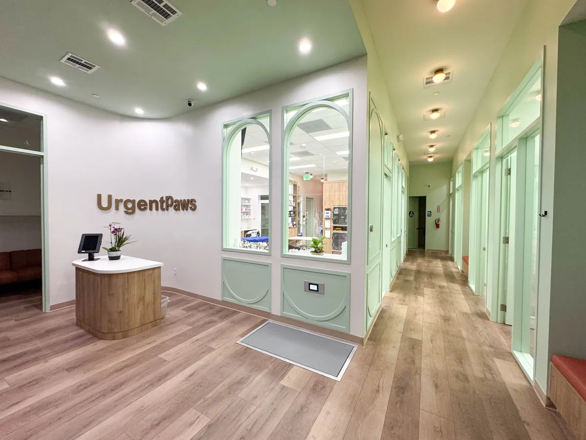 The UrgentPaws Cerritos lobby and the hallway to the exam rooms