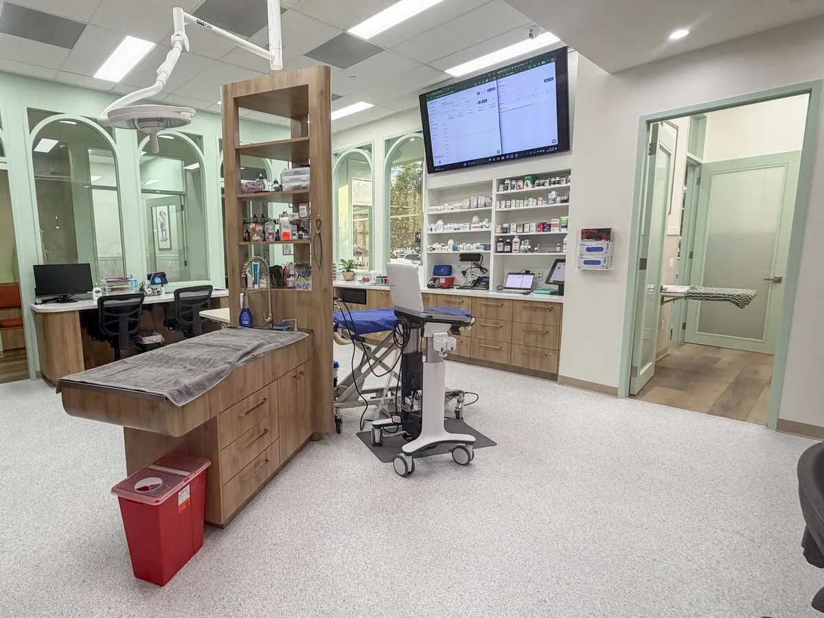 The UrgentPaws Cerritos treatment area, with windows into the exam rooms