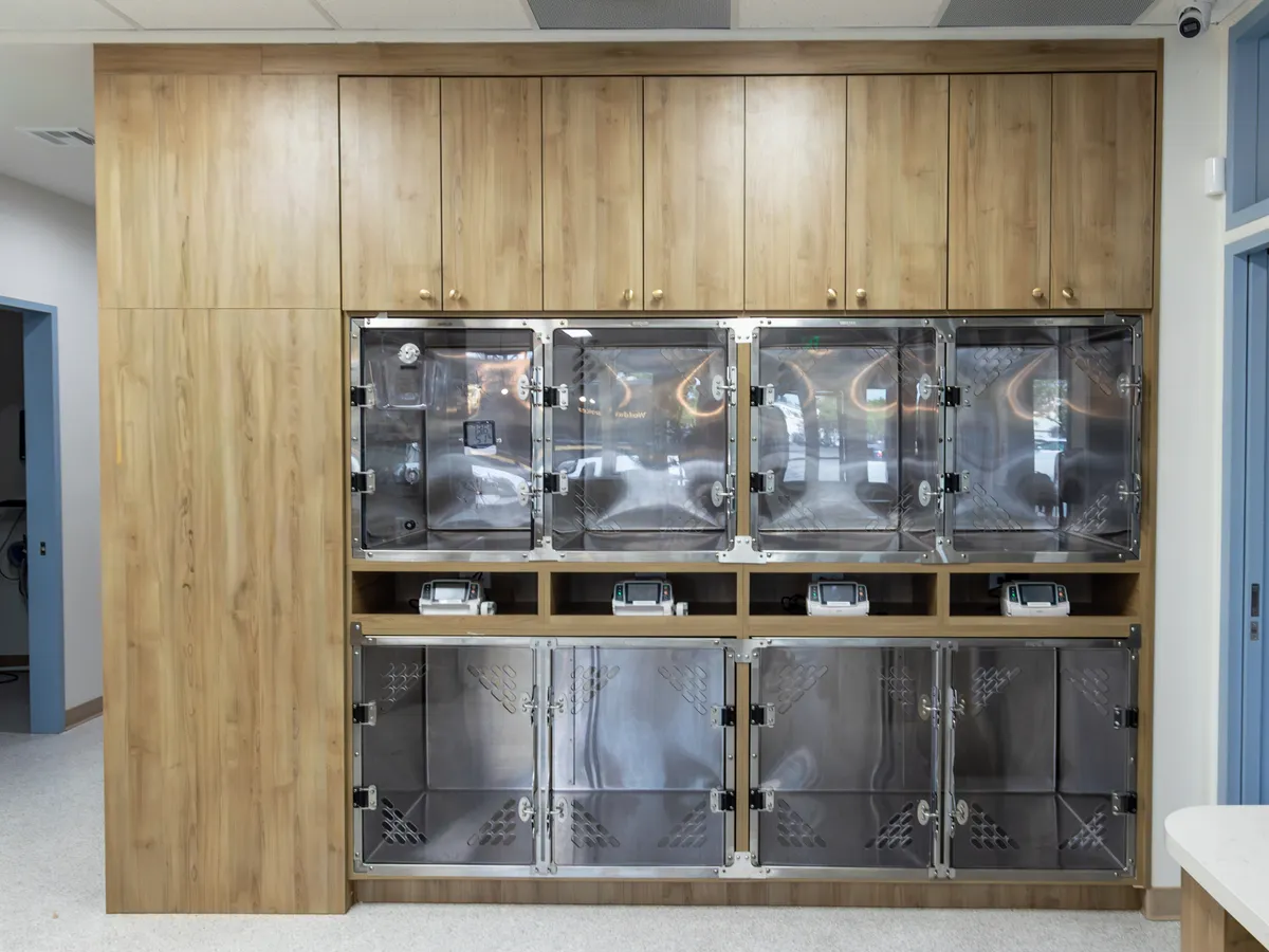 The recovery kennels at UrgentPaws Rancho Cucamonga