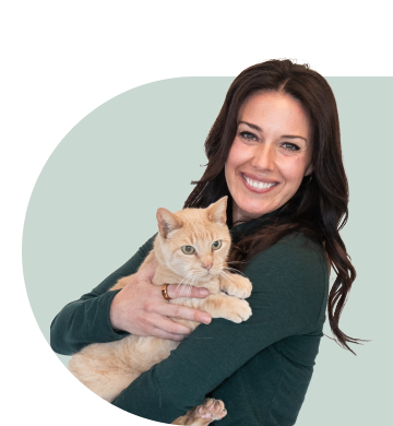 Veterinarian holding two small dogs