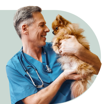 Veterinarian holding small cat