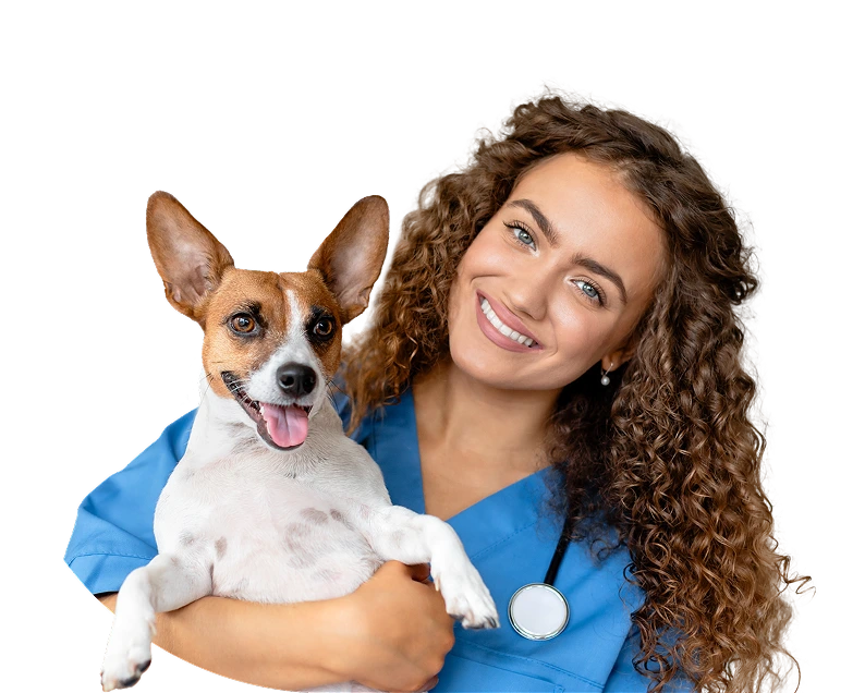 Veterinarian with a dog